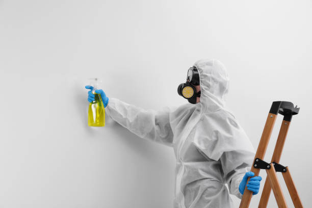 Best Environmental Consulting for Mold Prevention in El Cenizo, TX